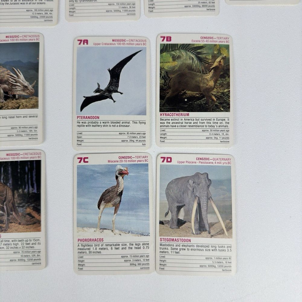 Vintage FX Schmid Animal Rummy Card Game Dinosaurs Prehistoric Animals COMPLETE - Picture 15 of 16